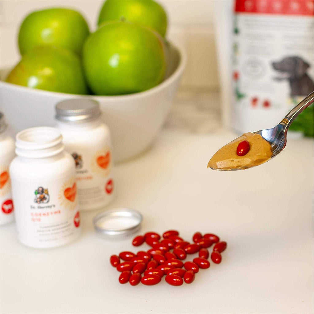 Coenzyme Q10 Cardiovascular Health Antioxidant Supplement for Dogs G2212