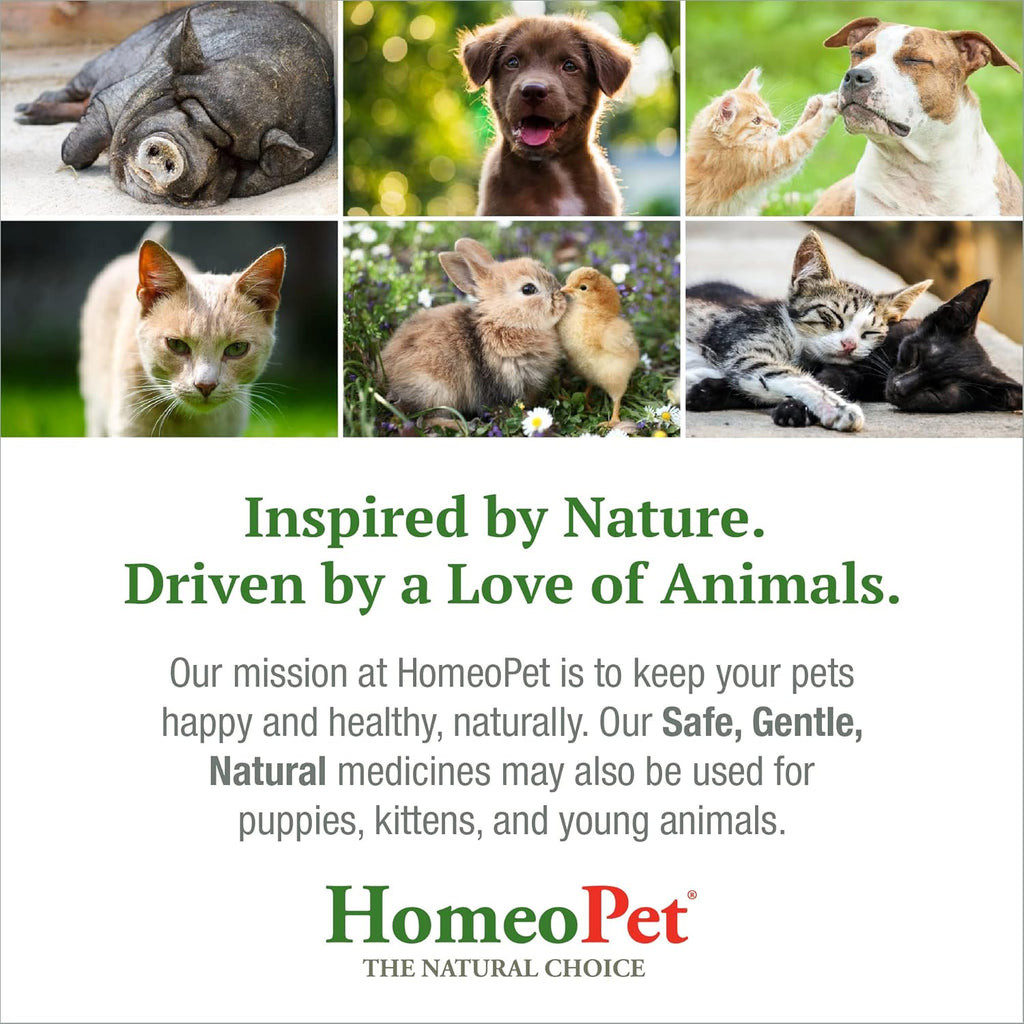 15 Milliliters Natural Cough Medicine for Pets C106049