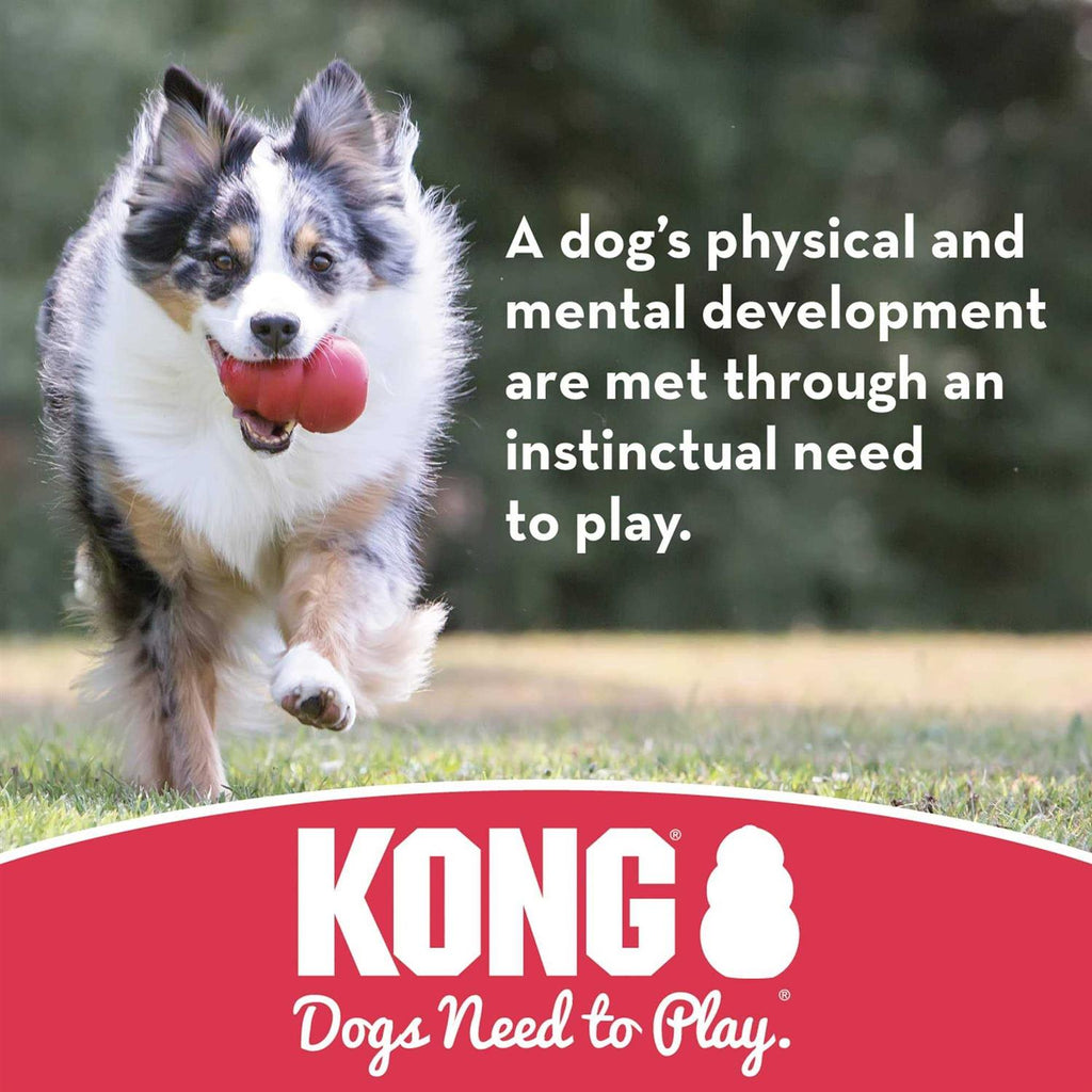 Puppy Ball with Hole Dog Toy P571