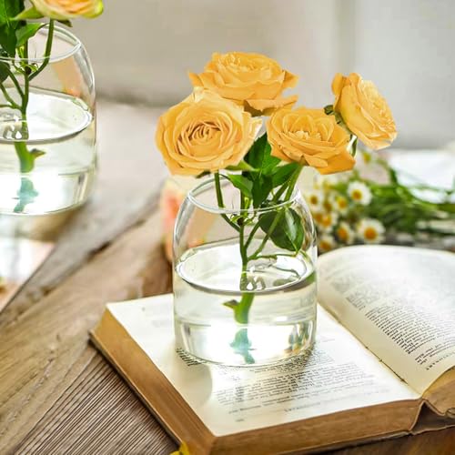 Clear Ribbed Glass Vase, 7.87 Inches M9706
