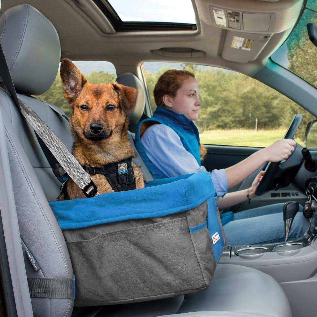 Dog Booster Seat L55328