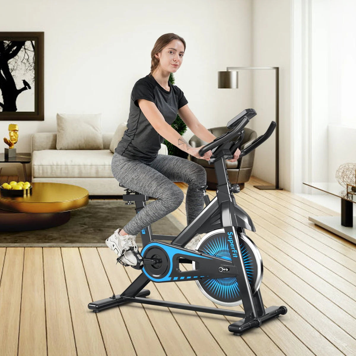 Indoor Cycling Stationary Bike Belt Drive Adjustable Resistance J685344
