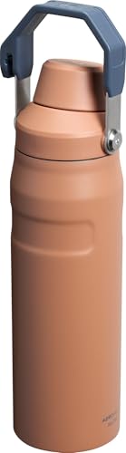 Insulated Stainless Steel Water Bottle with Angled Spout Lid M121