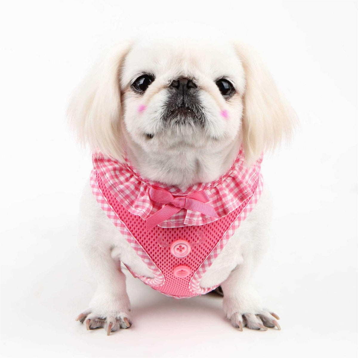 Dog Harness C207