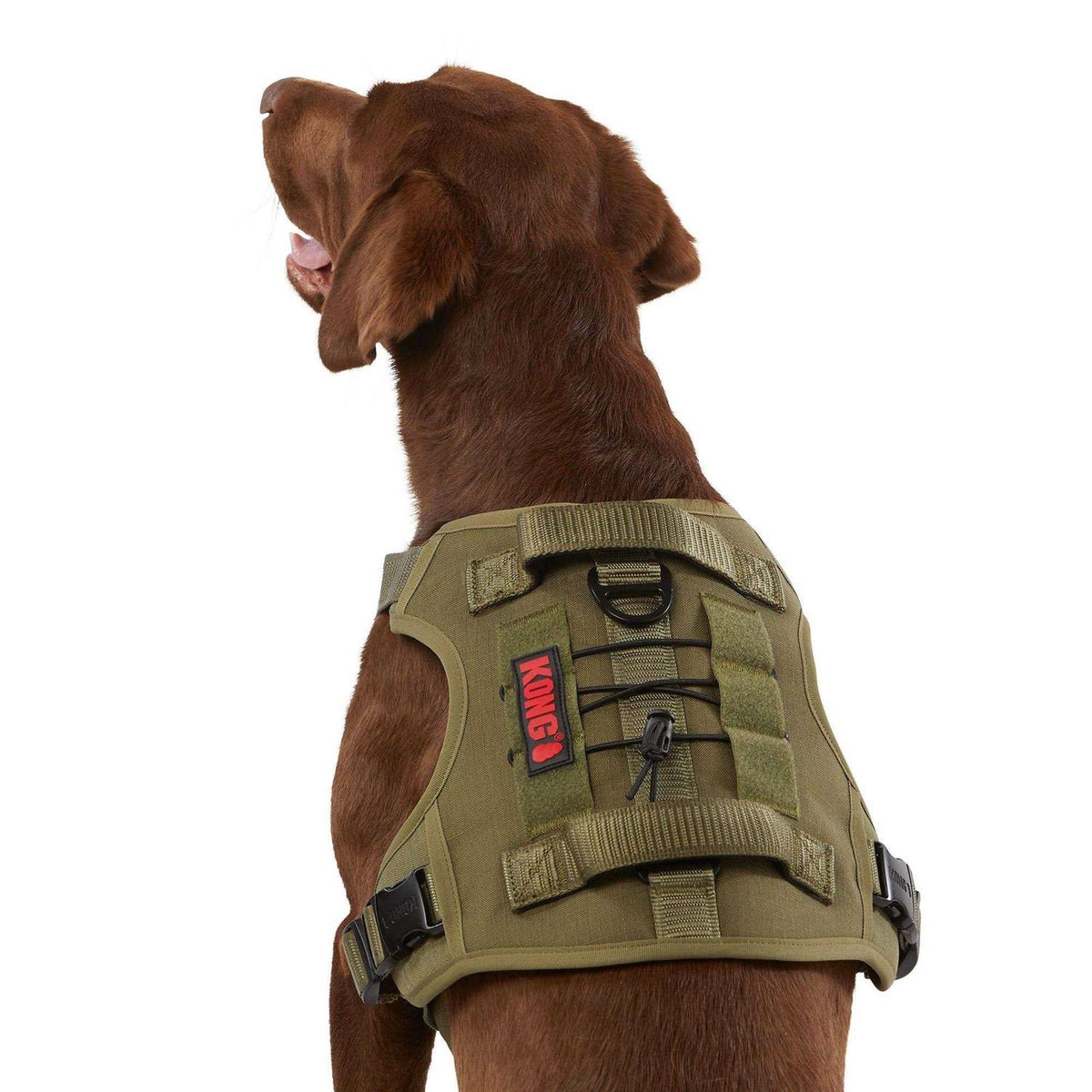 Double Handle Dog Harness K409753