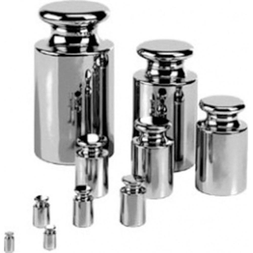 100g Stainless Steel ASTM Class 2 Calibration Weight S8116