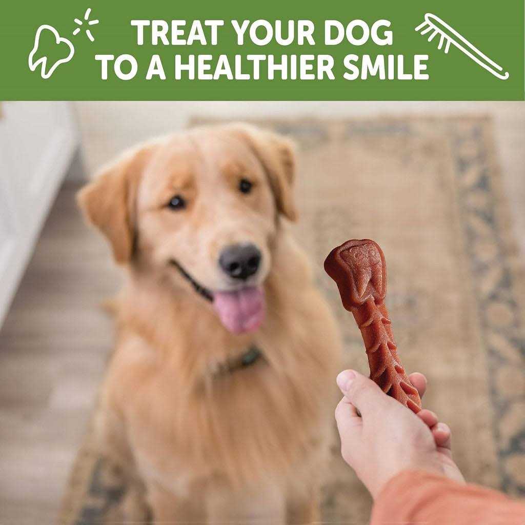 Natural Dental Dog Treats M49541