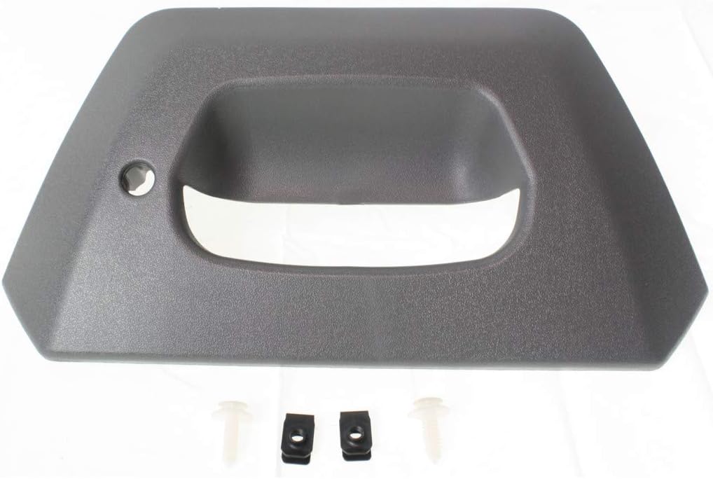 Textured Gray Plastic Tailgate Handle Bezel Pack of 2 O510273