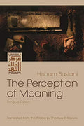The Perception of Meaning Paperback N7648