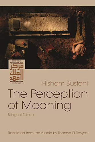 The Perception of Meaning Paperback N7648