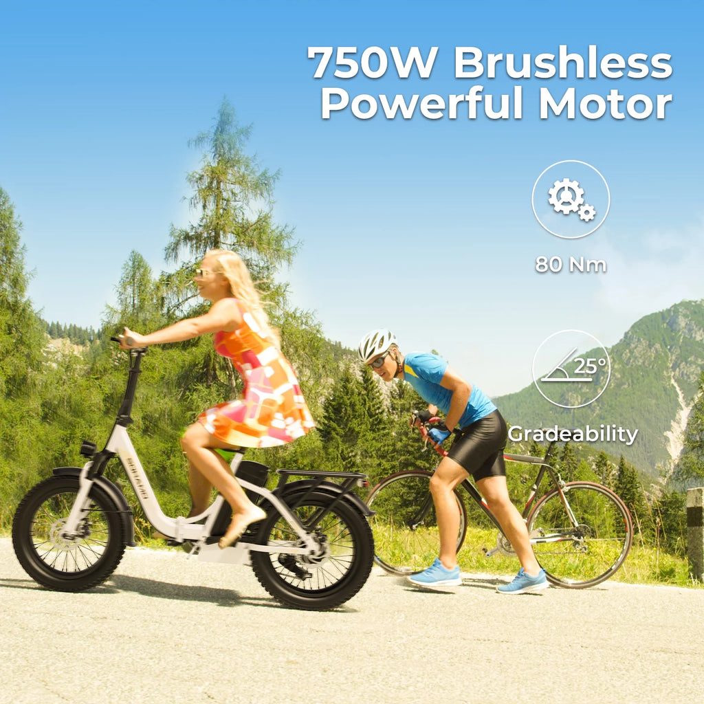 48V 15AH 750W Folding Electric Bike 20" Fat Tire E8692
