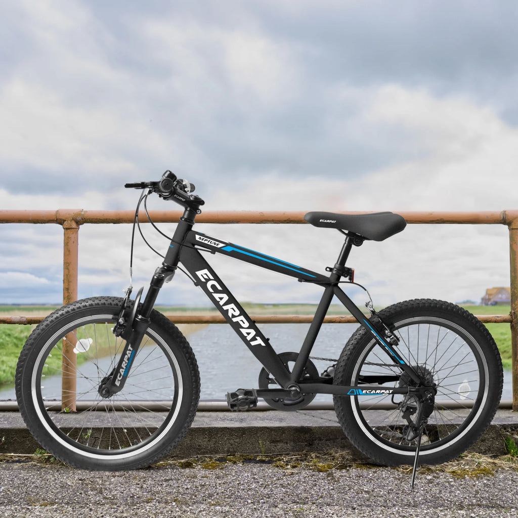 20 Inch 7 Speed Kids Bike G8805