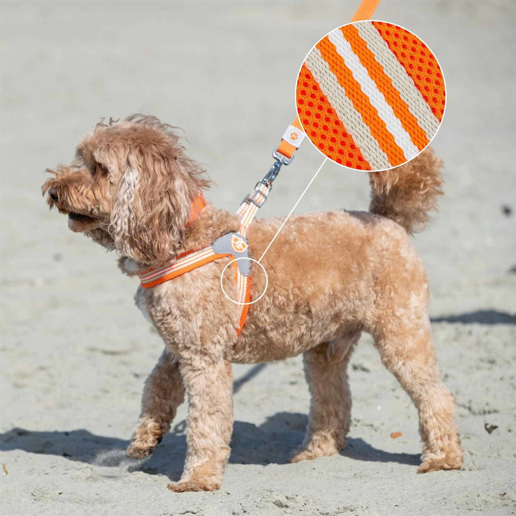 Dog Harness W256887