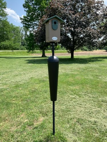 Bird Feeder Mounting Pole with Baffle Q17069