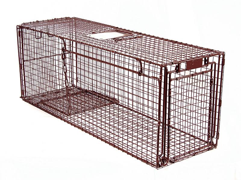 Humane Live Animal Trap D951810