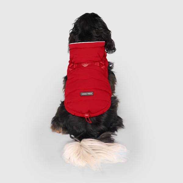Black Puffer Harness X3343