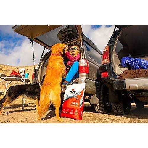 Turkey Dry Dog Food N151