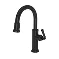 Gloss Black Pull Down Faucet O36366