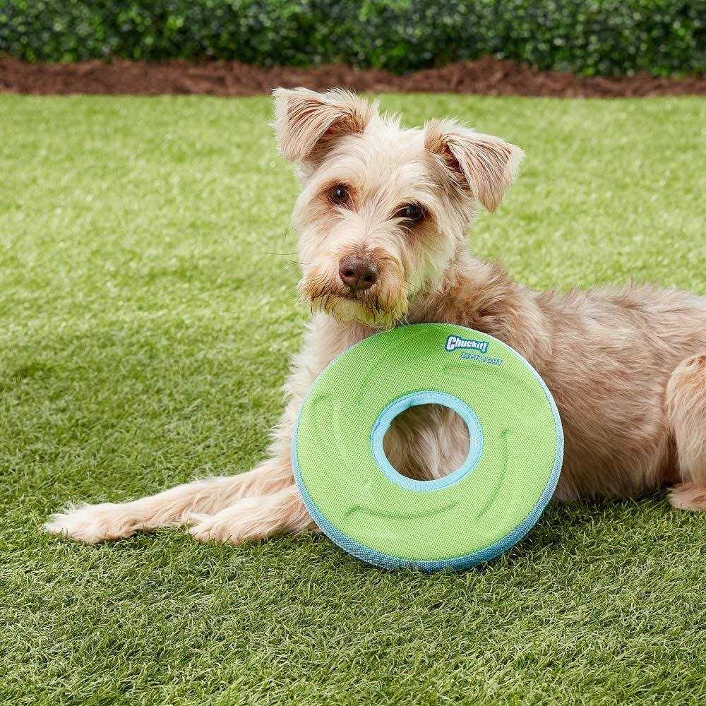 Dog Toy R844