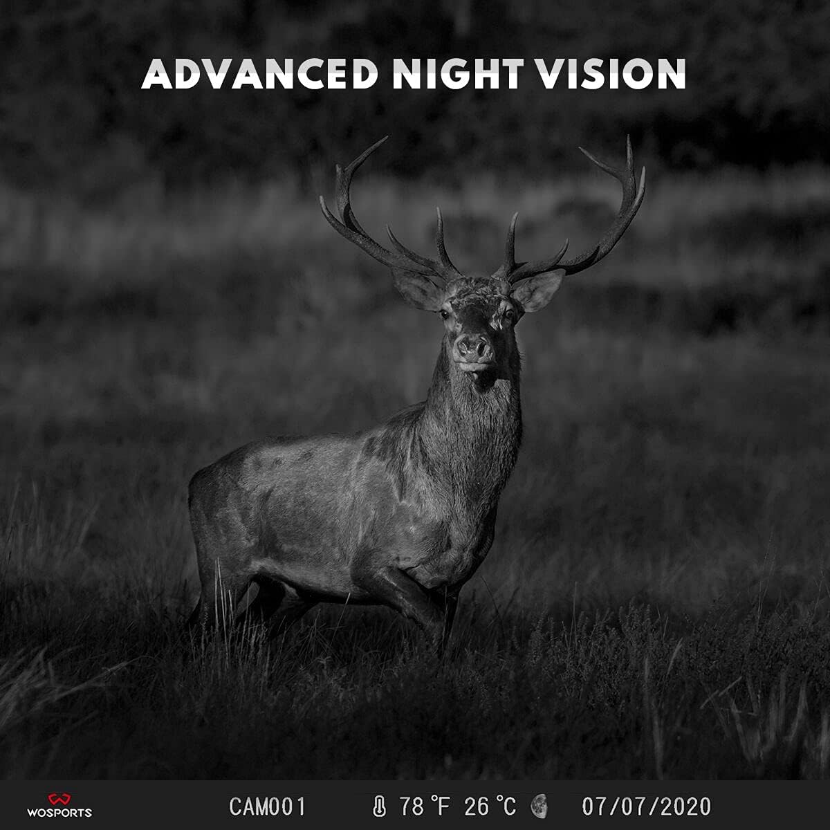 2 Pack Mini Trail Camera 1080P Waterproof A5349