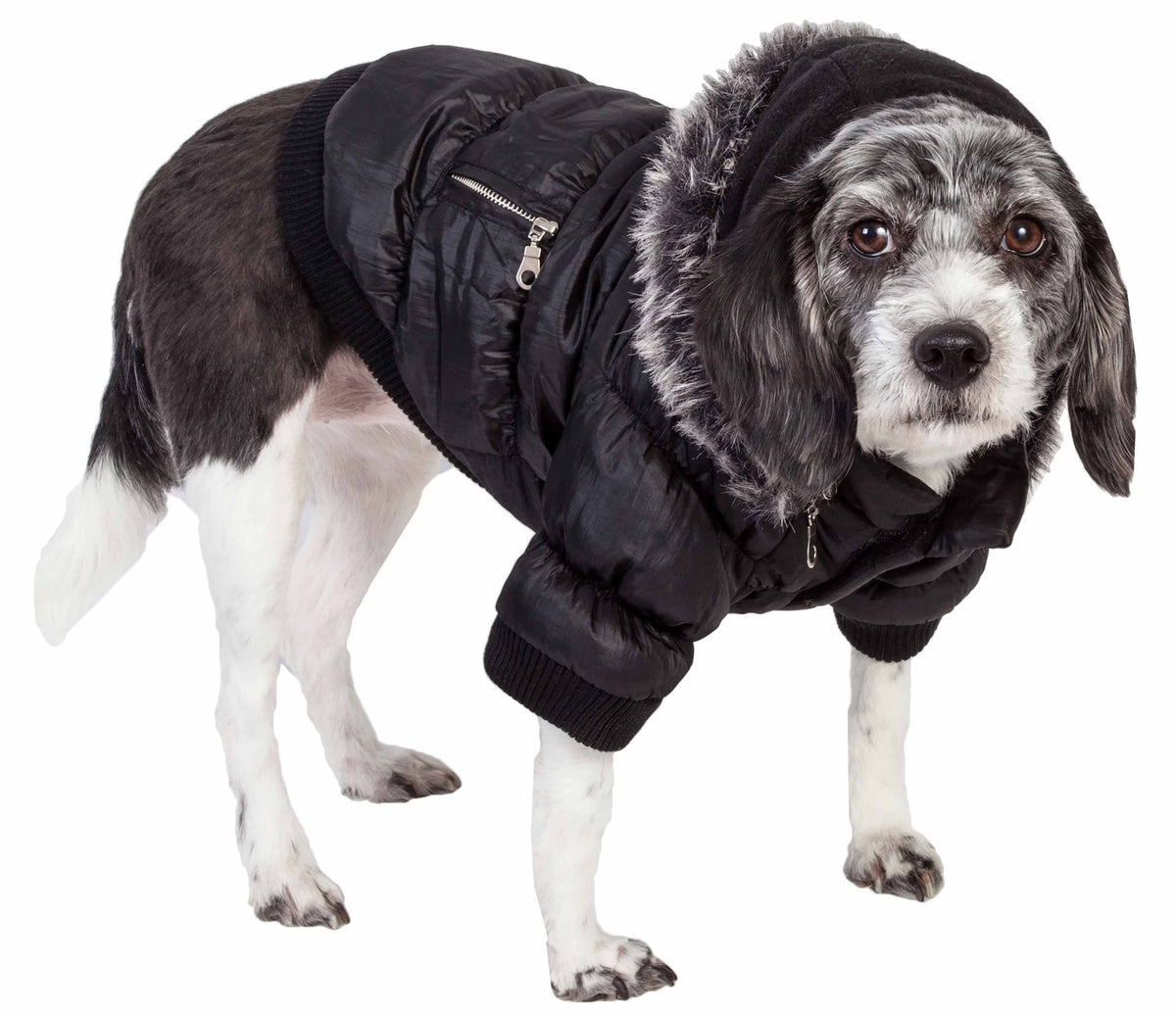 3M Insulated Dog Coat Parka with Removable Hood Q1635