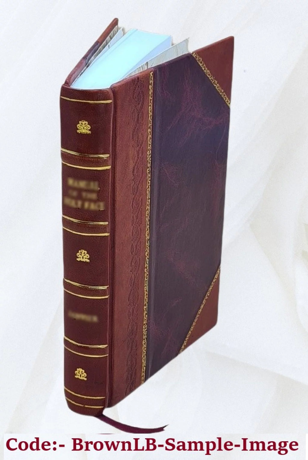 Extraits de l'histoire naturelle de Pline l'ancien Leather Bound I23136