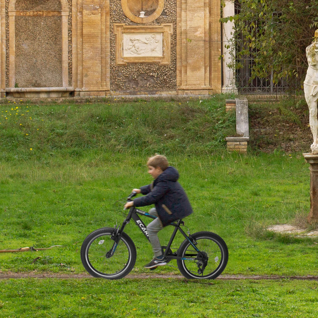 20 Inch 7 Speed Kids Bike G8805
