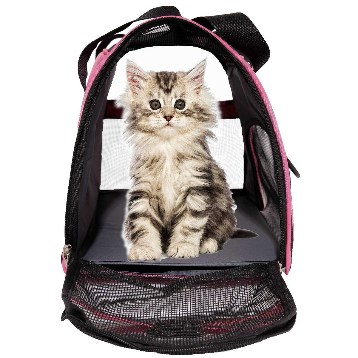 Soft-Sided Pet Travel Carrier F457