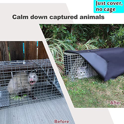 32 Inch Heavy Duty Folding Animal Trap Cage with Cover 2 Packs A8601