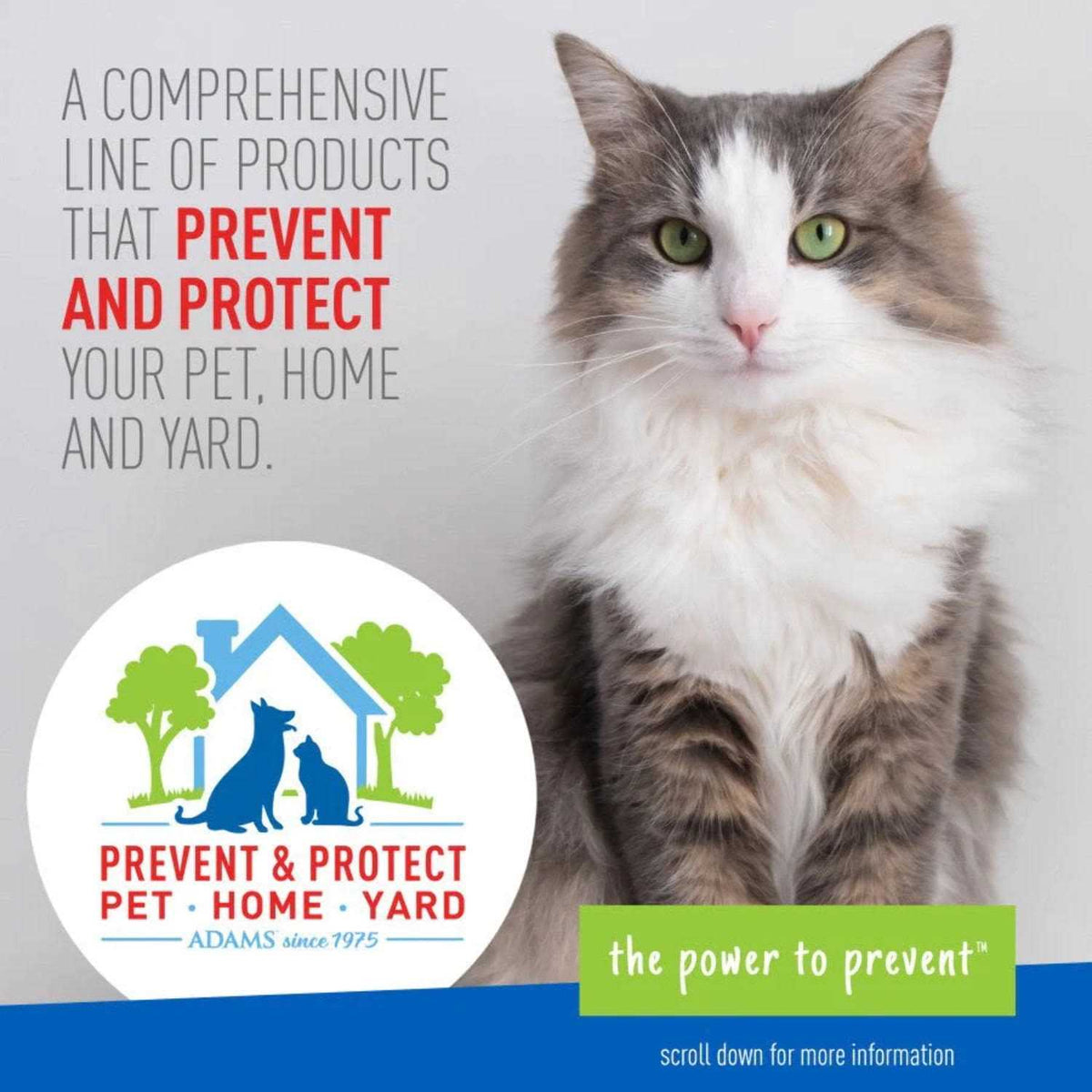 Flea Tick Collar for Cats W359