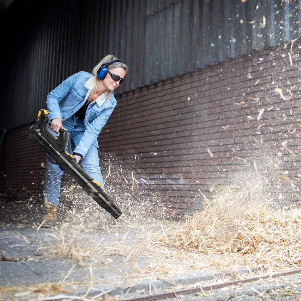20V Cordless Leaf Blower with 2 Batteries and Charger Z8310