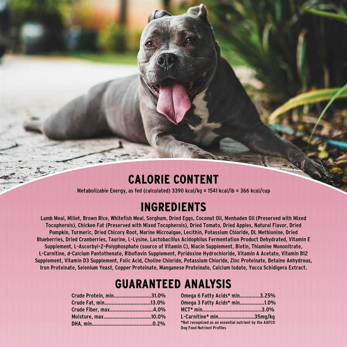 Original Sensitive Skin & Stomach Dry Dog Food U737