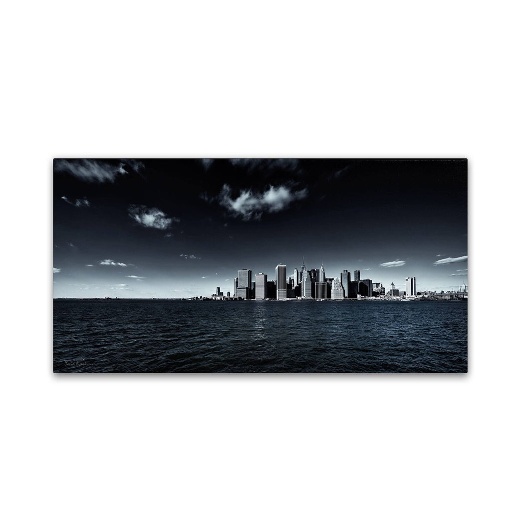 Canvas Art T1620