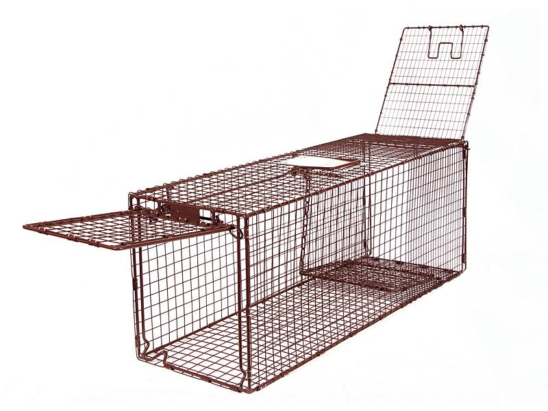 Humane Live Animal Trap D951810