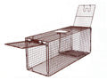 Humane Live Animal Trap D951810