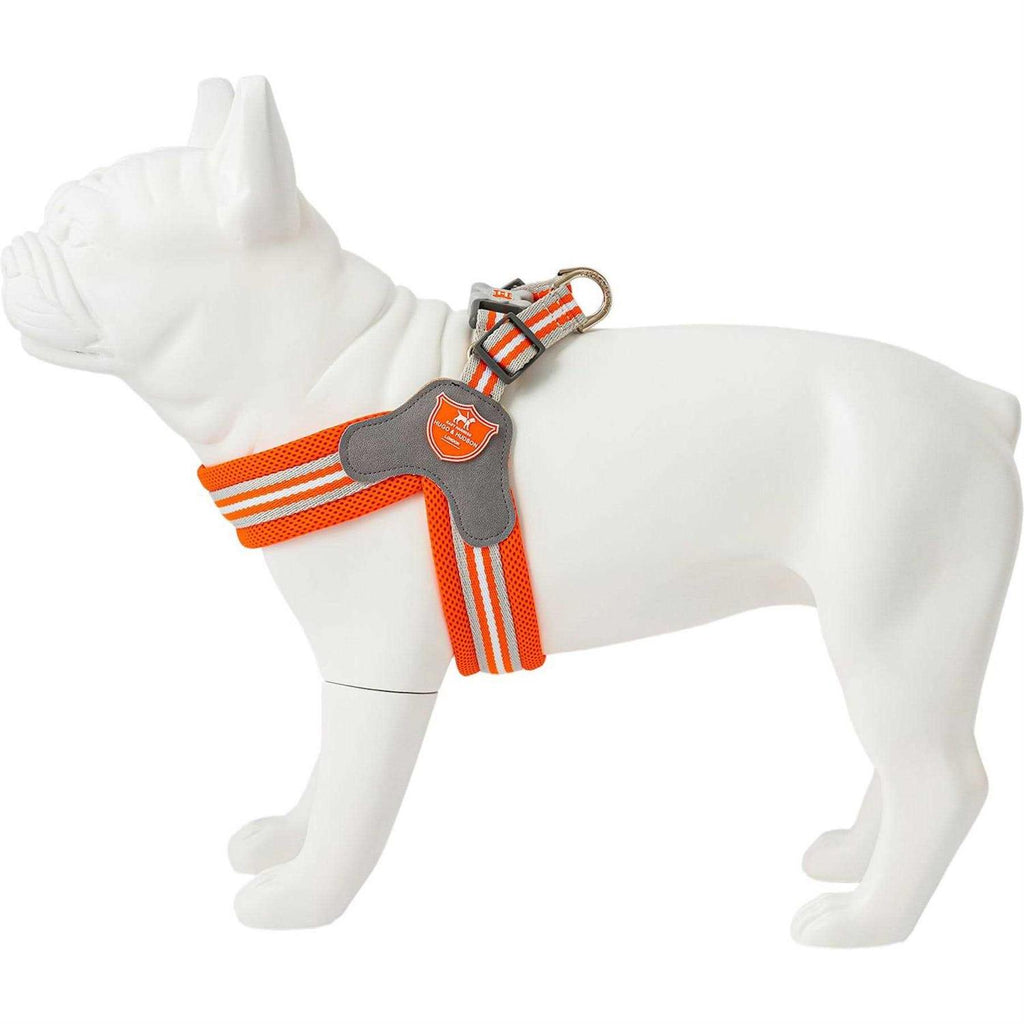 Dog Harness W256887