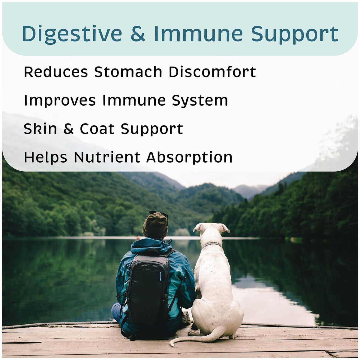 Probiotic Nutritional Supplement for Dogs Q1192