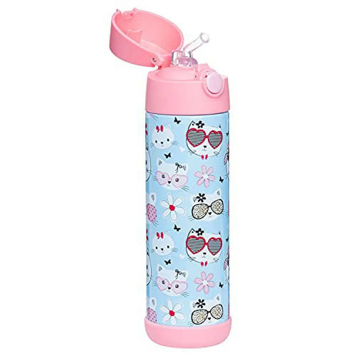 17oz Insulated Stainless Steel Kids Water Bottle with Straw C617