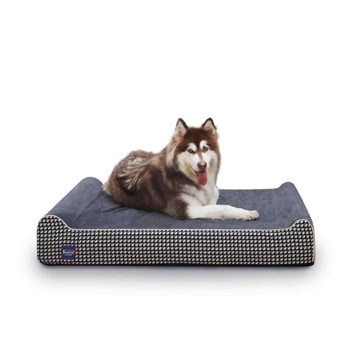 Large Orthopedic Memory Foam Dog Bed O660207