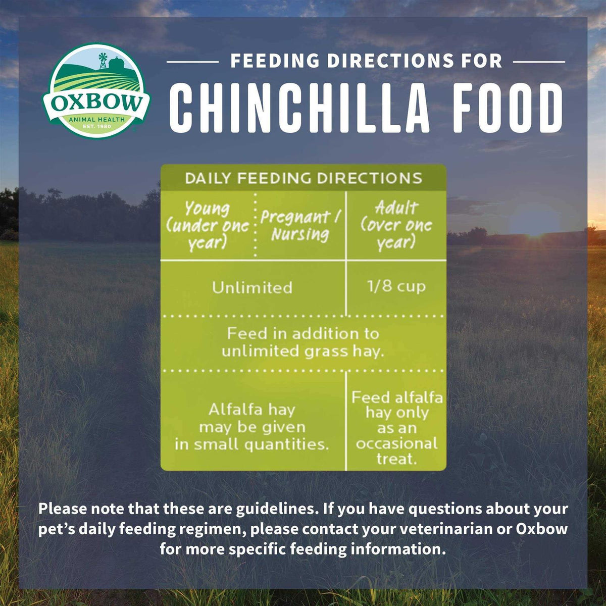 Chinchilla Food W2197
