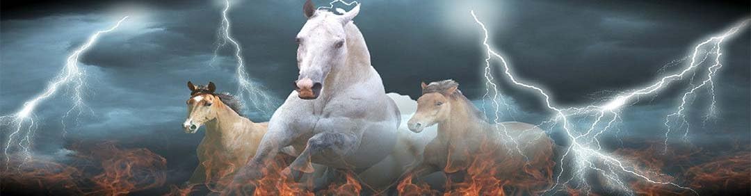 Perforated See Through Rear Window Decal Wrap Universal Size 65" x 17" Pack of 2 D472282