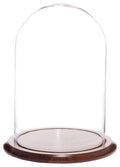 Glass Display Dome Cloche with Walnut Base E330742