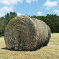 Hay Net A11375