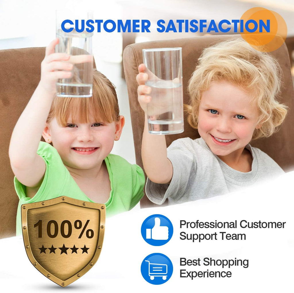 20 x 4.5 Pleated Sediment Filter Replacement Cartridge, 2 Pack Y6526