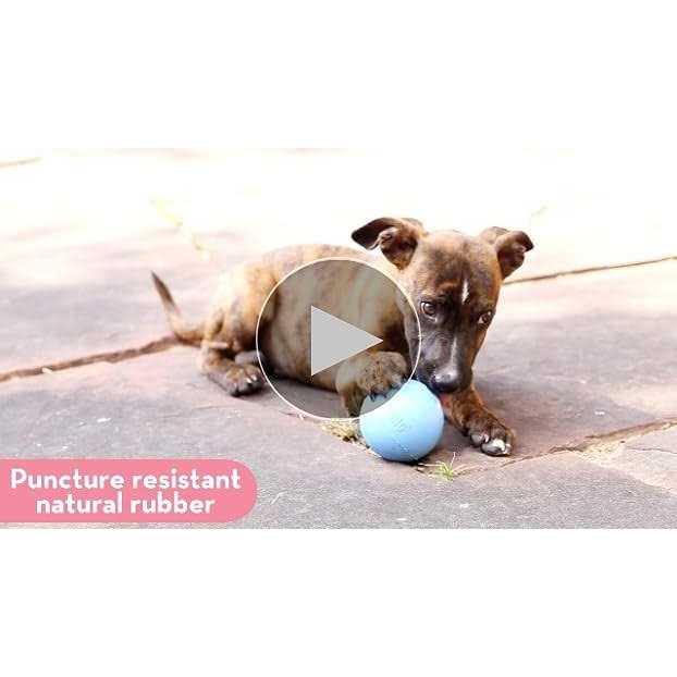 Puppy Ball with Hole Dog Toy P571