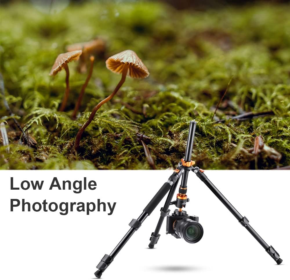 62 inch DSLR Camera Tripod with Monopod and Aluminum Alloy Quick Release Plate A90513