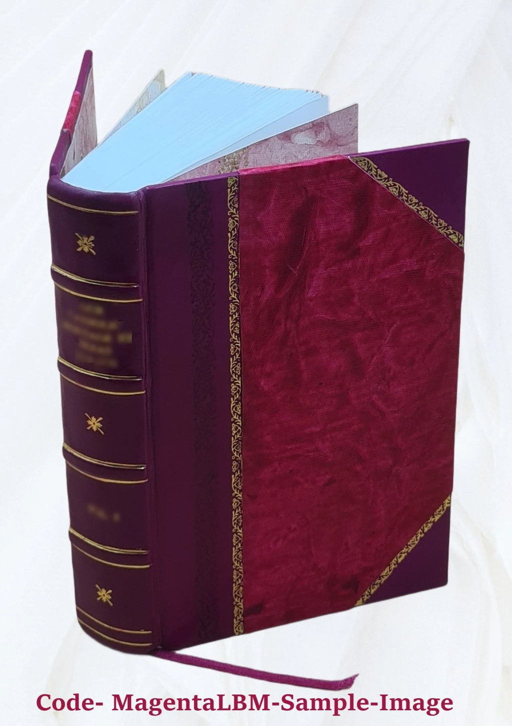 Clinical Surgery Leather Bound L58717