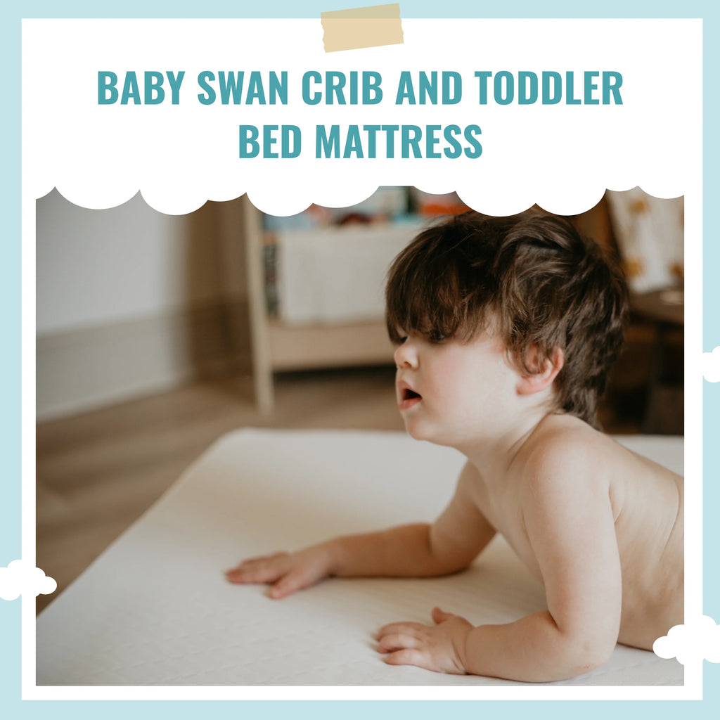 Foam Crib & Toddler Mattress T8781