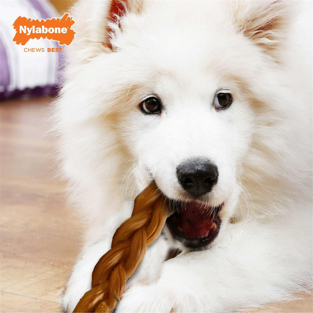 Braided Bully Stick Q4095