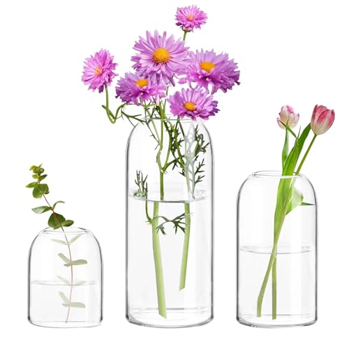 Clear Ribbed Glass Vase, 7.87 Inches M9706